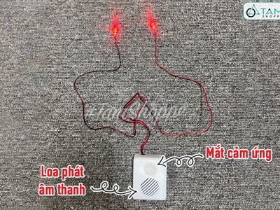 Bộ cảm ứng điện tử mắt đèn Led đỏ phát tiếng cười kinh dị Halloween LED-BOCAMUNG-01